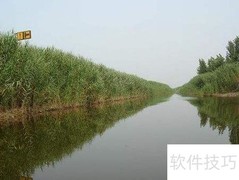 水生植物净化水质绿化环境