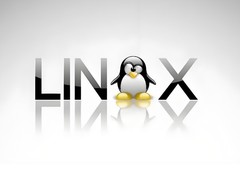 Linux内核确立托瓦兹接续机制应对老龄化挑战