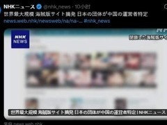 全球最大盗版漫画平台BATO.TO被中国执法部门查处，60个关联网站关停