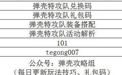 弹壳特攻队：左轮玩法全解析