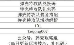 弹壳特攻队：大佬都在用的永恒战衣