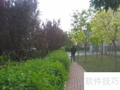 道路绿化设计技巧