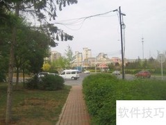 道路绿化设计技巧