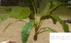 方舟渡渡鸟驯养技巧