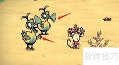 饥荒海难渡渡鸟下蛋方法