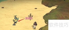 饥荒海难中如何捕捉渡渡鸟