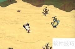 饥荒海滩渡渡鸟养殖指南