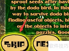 渡渡鸟小游戏通关秘籍