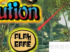 渡渡鸟小游戏通关秘籍