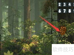 渡渡鸟小游戏通关秘籍