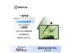 一加平板11.61英寸苔原绿