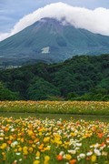一路有尼康，向山海，也向热爱