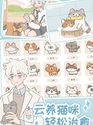 遇见你的猫高效养猫攻略