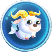 萌鱼泡泡：摩羯座速成攻略