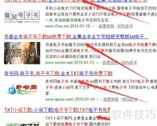 电子小说下载方法指南