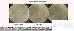 in-depth在中文中的理解