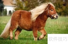 临泉魔幻动物园游玩指南