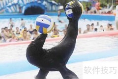 临泉魔幻动物园游玩指南