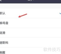 Zoom铃声设置方法
