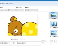 幂果看图王图片打印教程