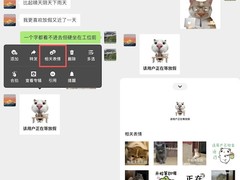 微信长按五大隐藏功能曝光：斗图、屏蔽、搜词、全屏输入、星标一键直达