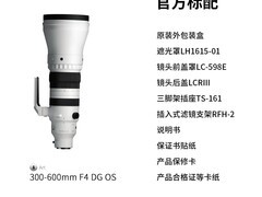 适马300 - 600mm F4 E卡口镜头立减500元