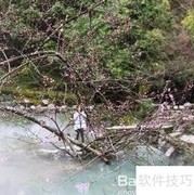 网课护眼小贴士