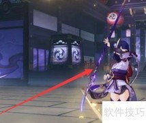 雷电将军全面打法攻略