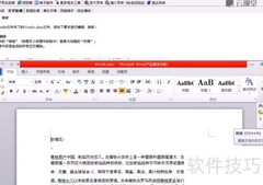 轻松过一级：文字处理技巧