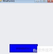 DevExpress按钮背景色设置