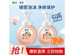 狮王趣净泡沫洗手液2瓶装
