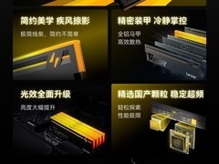 雷克沙发布国产DDR5高频内存：7200MT/s、CL38、RGB散热马甲，售价3999元