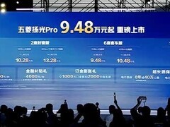 五菱扬光Pro正式上市：纯电轻型商用车，续航405km，售价9.48万起