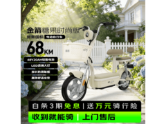 金箭26新国标电动自行车