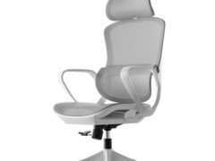 黑白调P1 Air人体工学椅霜白款