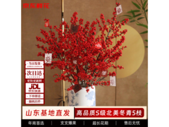 京东5枝A+级年宵花，领券低至69.9元