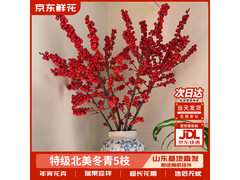 京东5枝A级年宵花49.9元