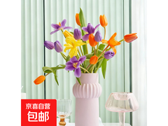 京喜郁金香鲜切花10朵14.9元