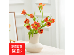 云南直发跨晚同款20枝郁金香，满10.01减10仅24.9元