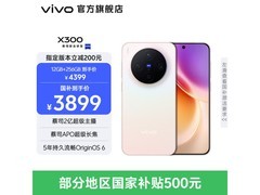 vivo X300幸运彩款热卖，低至3874元