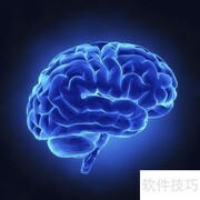 记忆奥秘：高效学习的关键