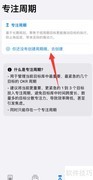 Vision软件专注周期设置指南