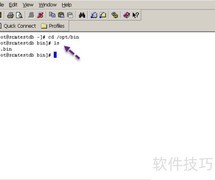 Linux解压bin文件方法