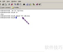 Linux解压bin文件方法
