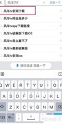 风车TV下载方法指南