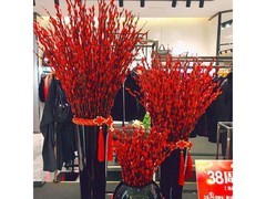 优跃60cm红色银柳20支组，到手仅11.9元