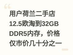 用户荷兰二手店12.5欧淘到32GB DDR5内存，价格仅市价几十分之一