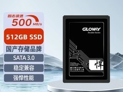 光威悍将512GB固态硬盘169元