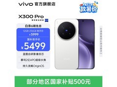 vivo X300 Pro白配色12+256G京东特惠