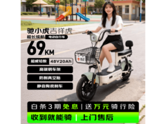 驰小虎电动自行车浅绿款1249元